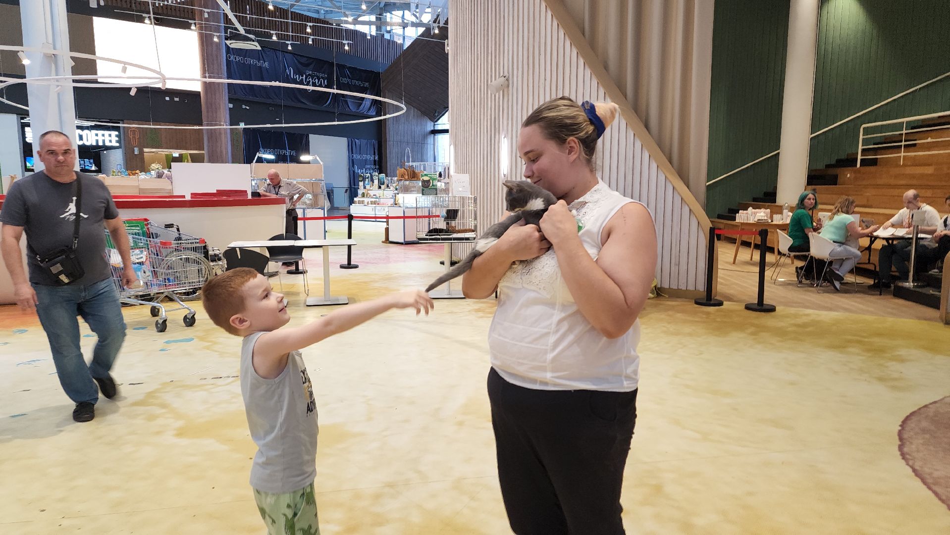 пушкино, благотворительная акция, пристройство, бездомные животные, волонтерство,