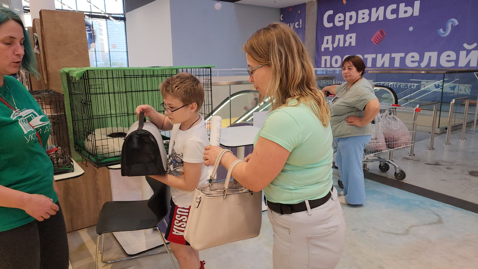 пушкино, благотворительная акция, пристройство, бездомные животные, волонтерство,