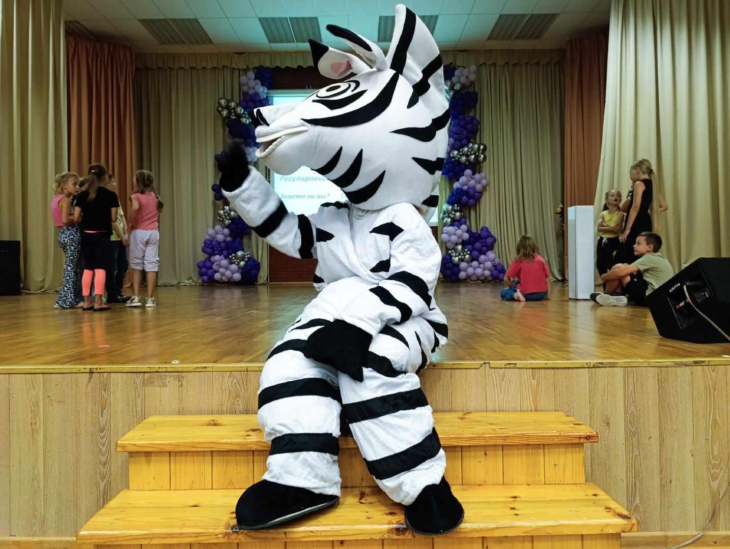 Бронницы, Летний лагерь Радуга, День профилактики детского дорожно-транспортного травматизма, Правила дорожного движения, Своя игра,