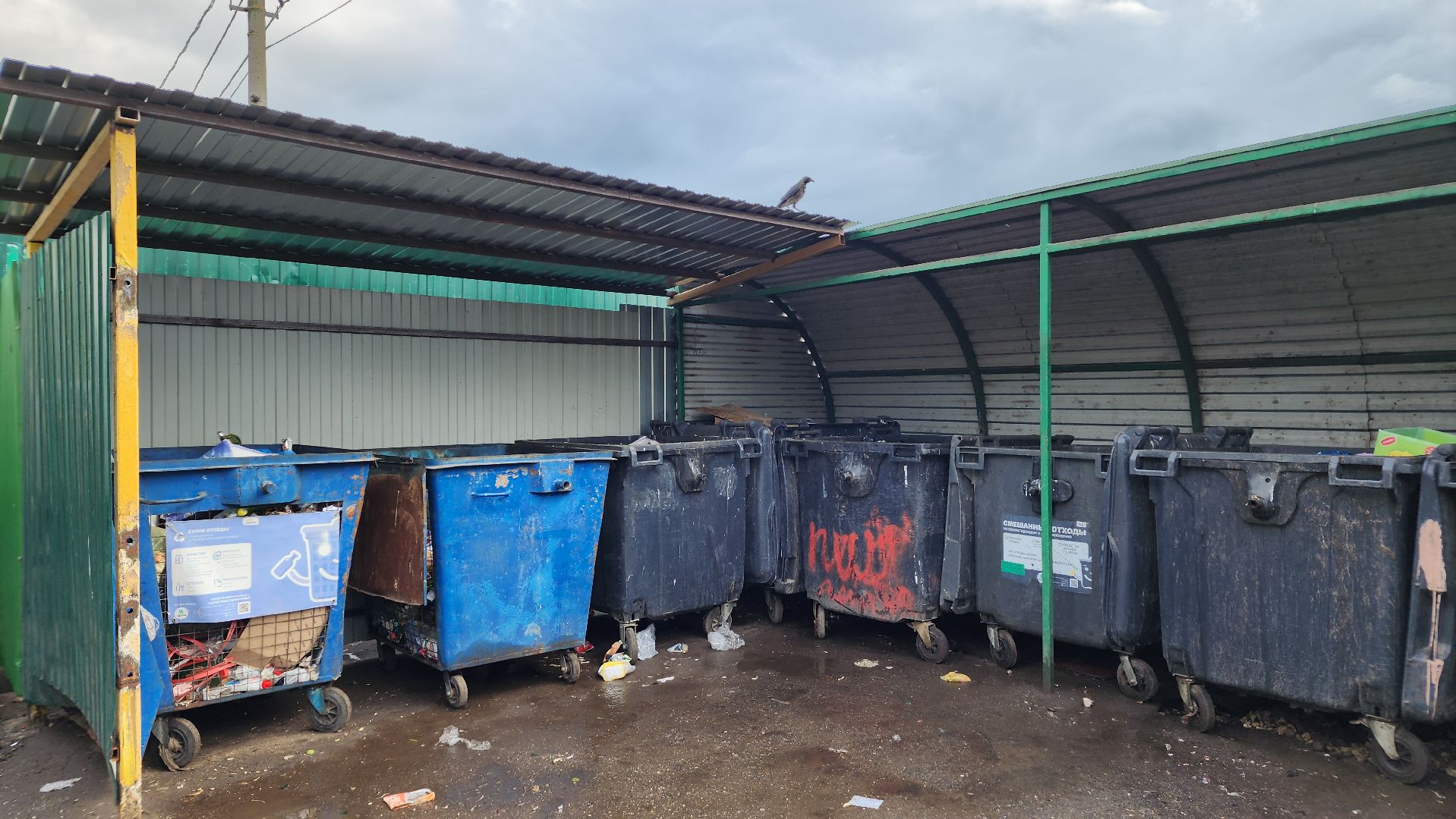 контейнерные площадки, вывоз мусора, Лосино-Петровский,