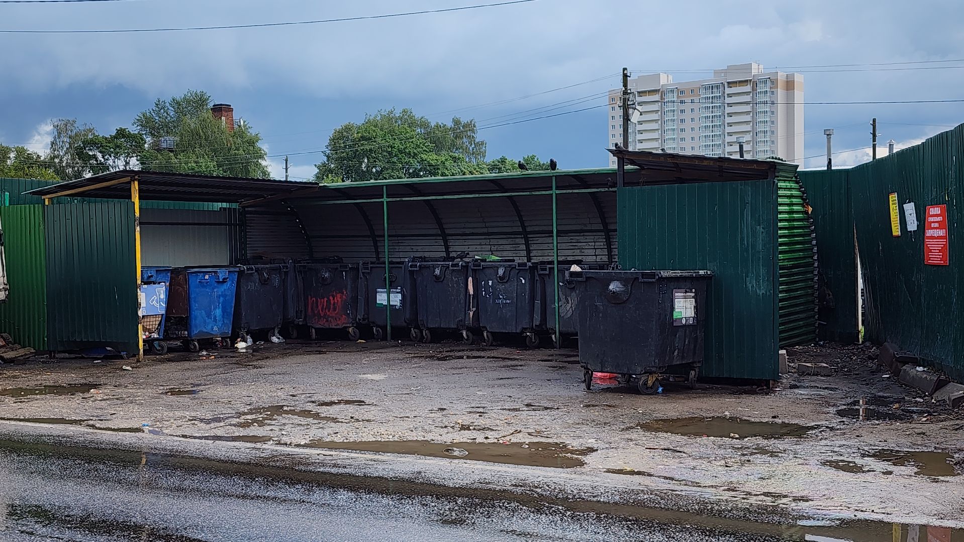 контейнерные площадки, вывоз мусора, Лосино-Петровский,