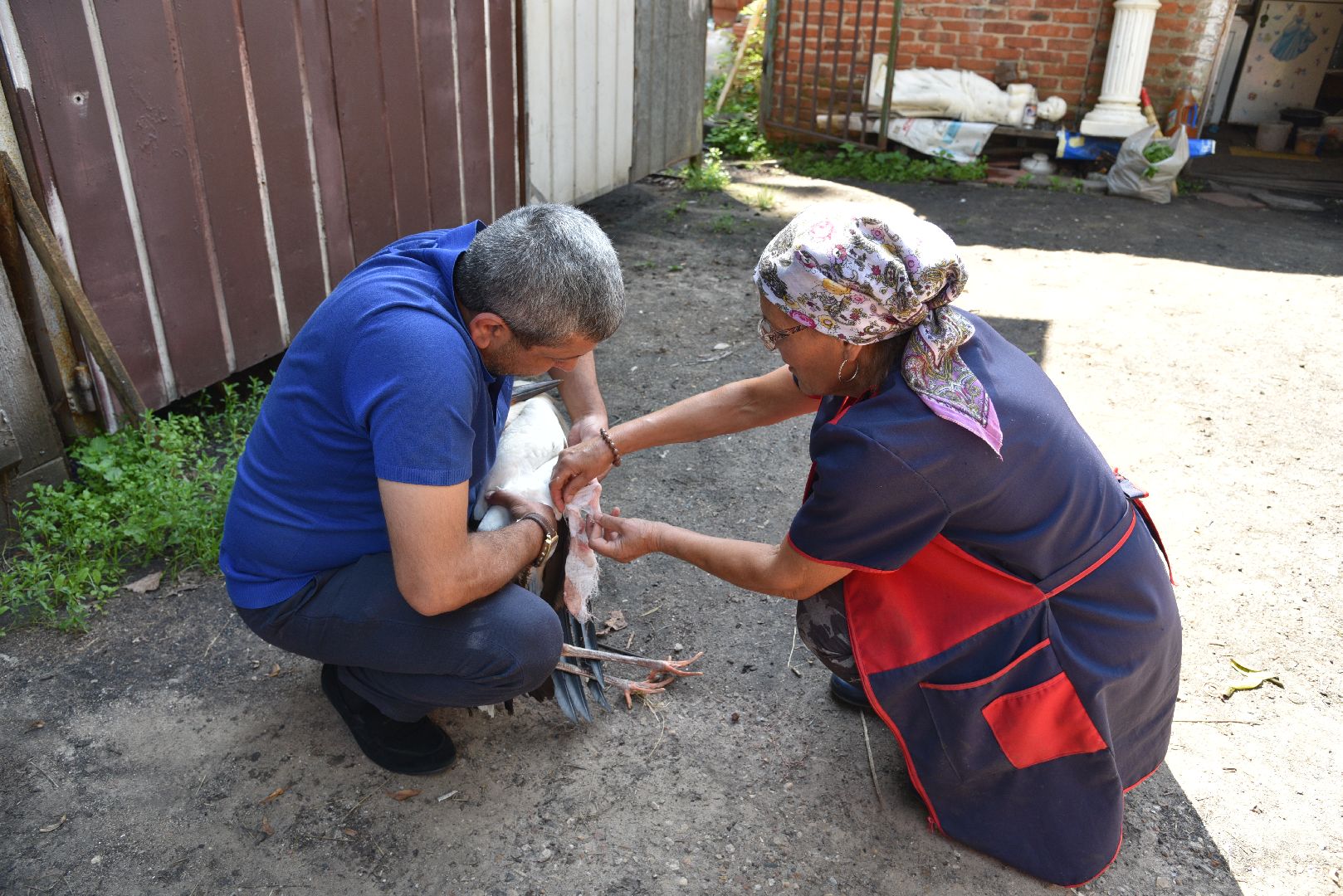 лотошино, лотошинский парк, аисты, парки подмосковья,