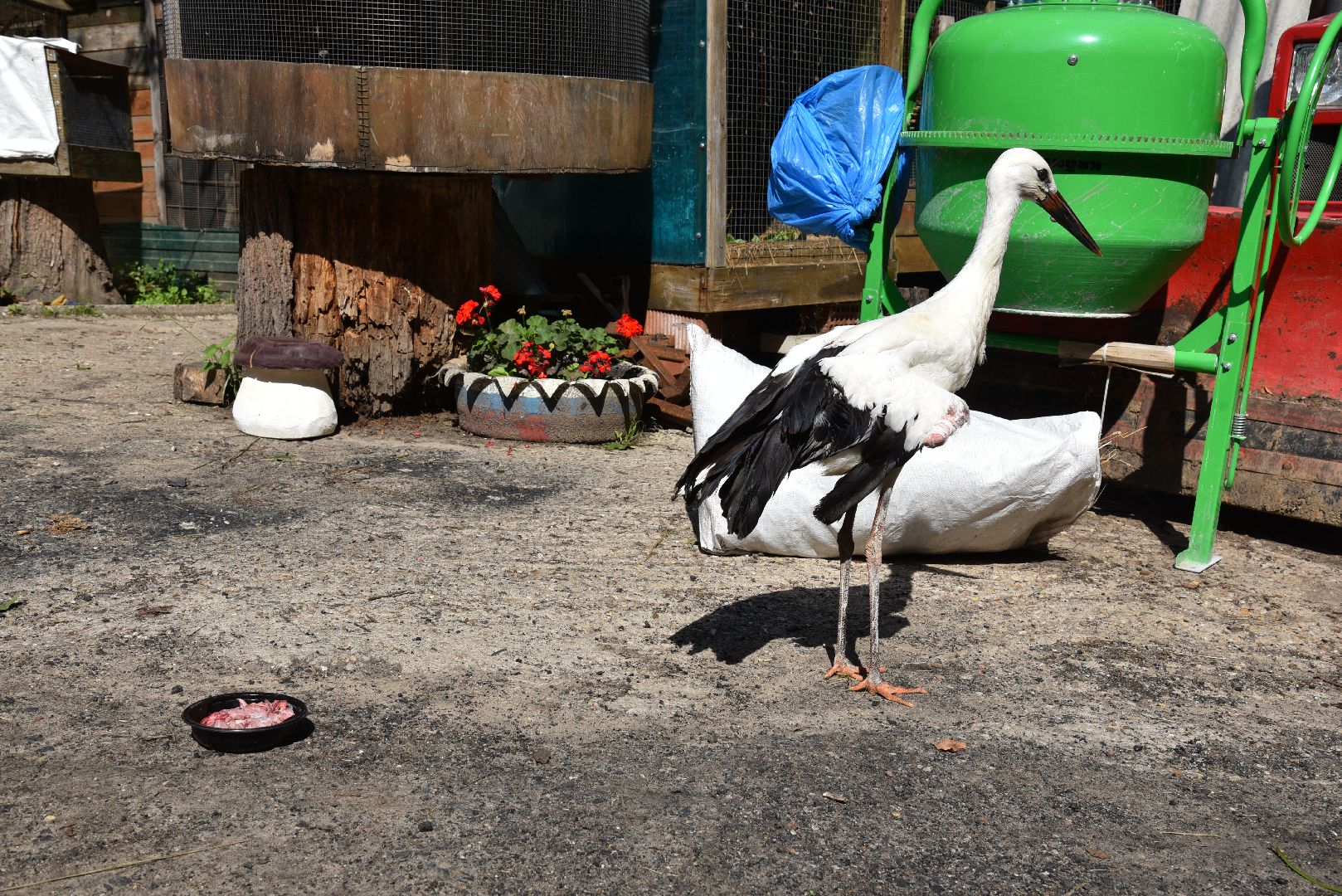 лотошино, лотошинский парк, аисты, парки подмосковья,