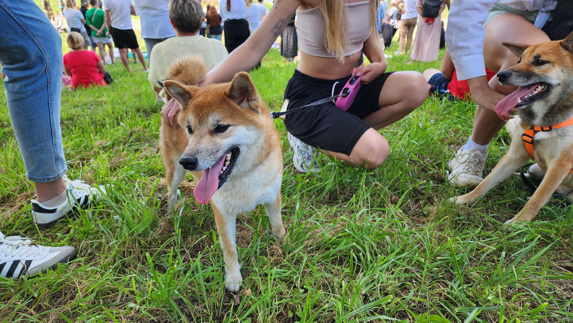 кашира, набережная оки, день города, флайборд, водное шоу, дымовые шашки, флаги,