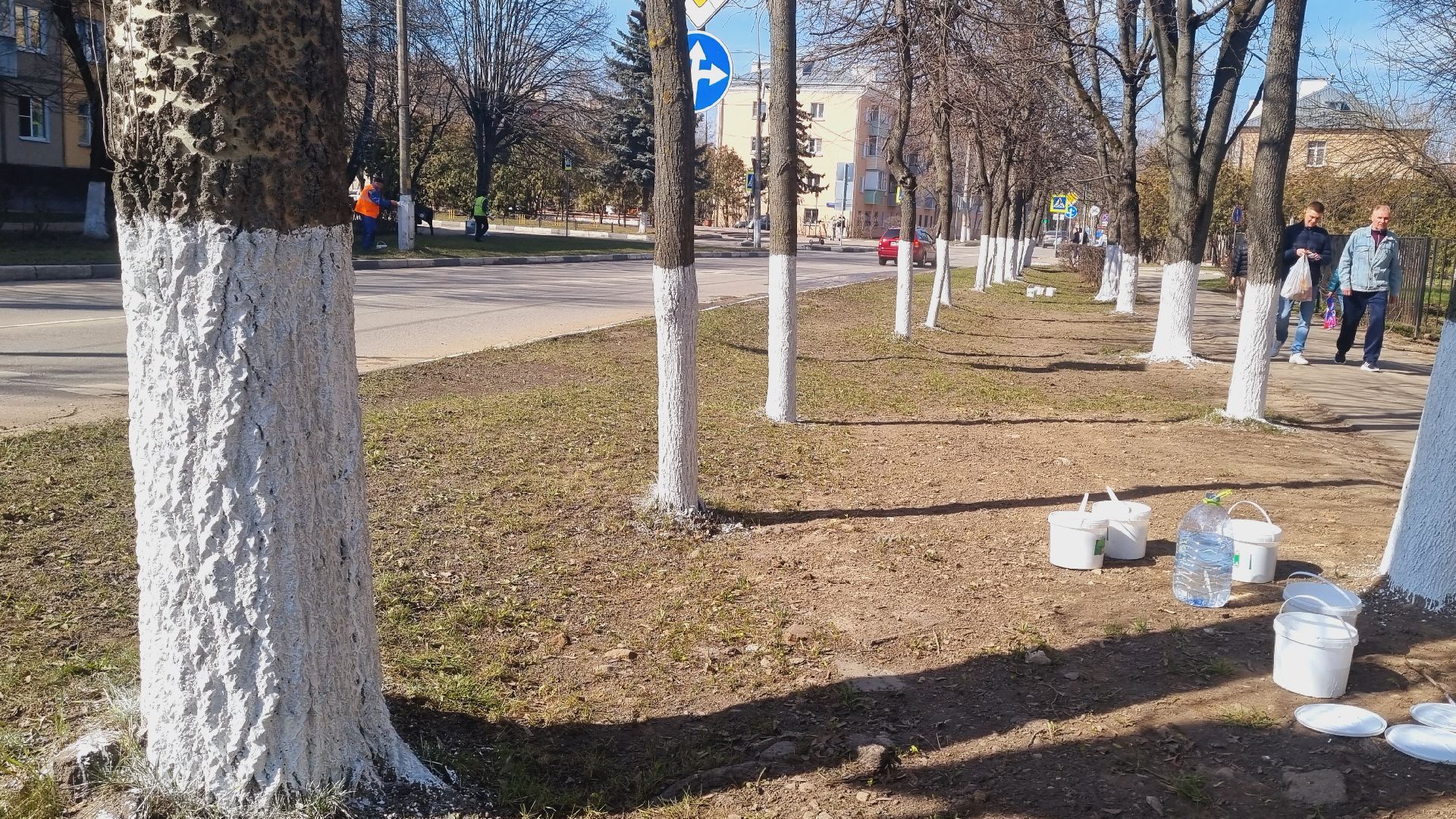 Подмосковье, Ивантеевка, субботник