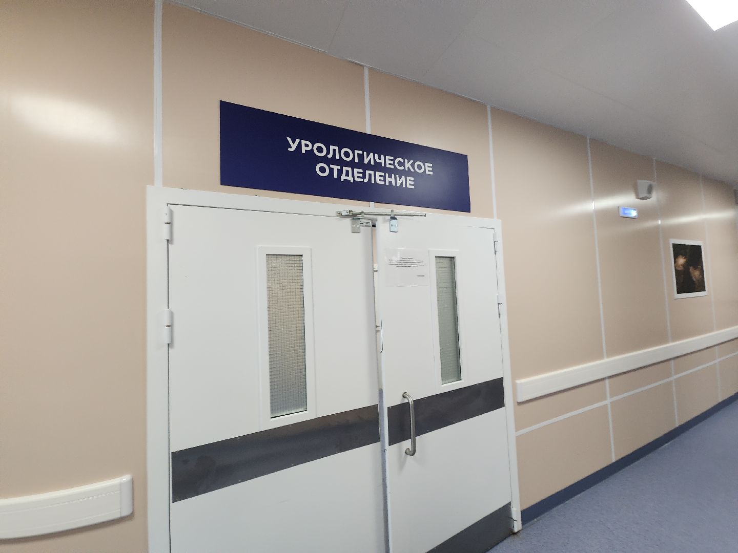 урология, камни в почках, профилактика болезней, советы врачей,