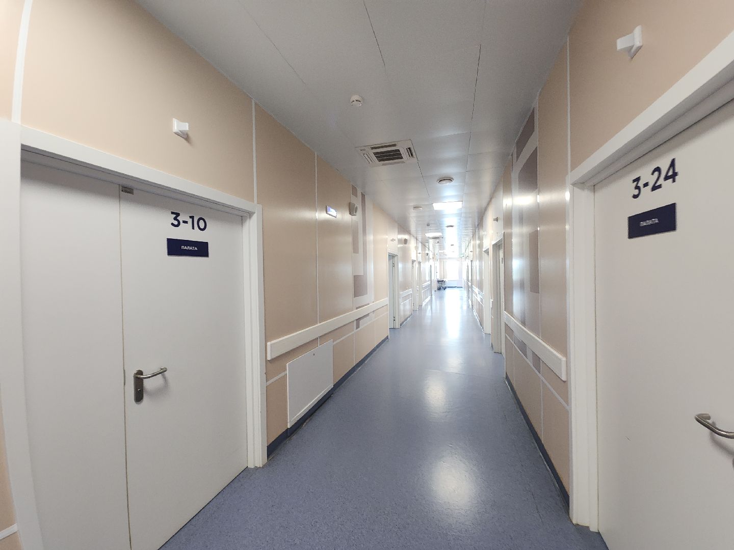 урология, камни в почках, профилактика болезней, советы врачей,