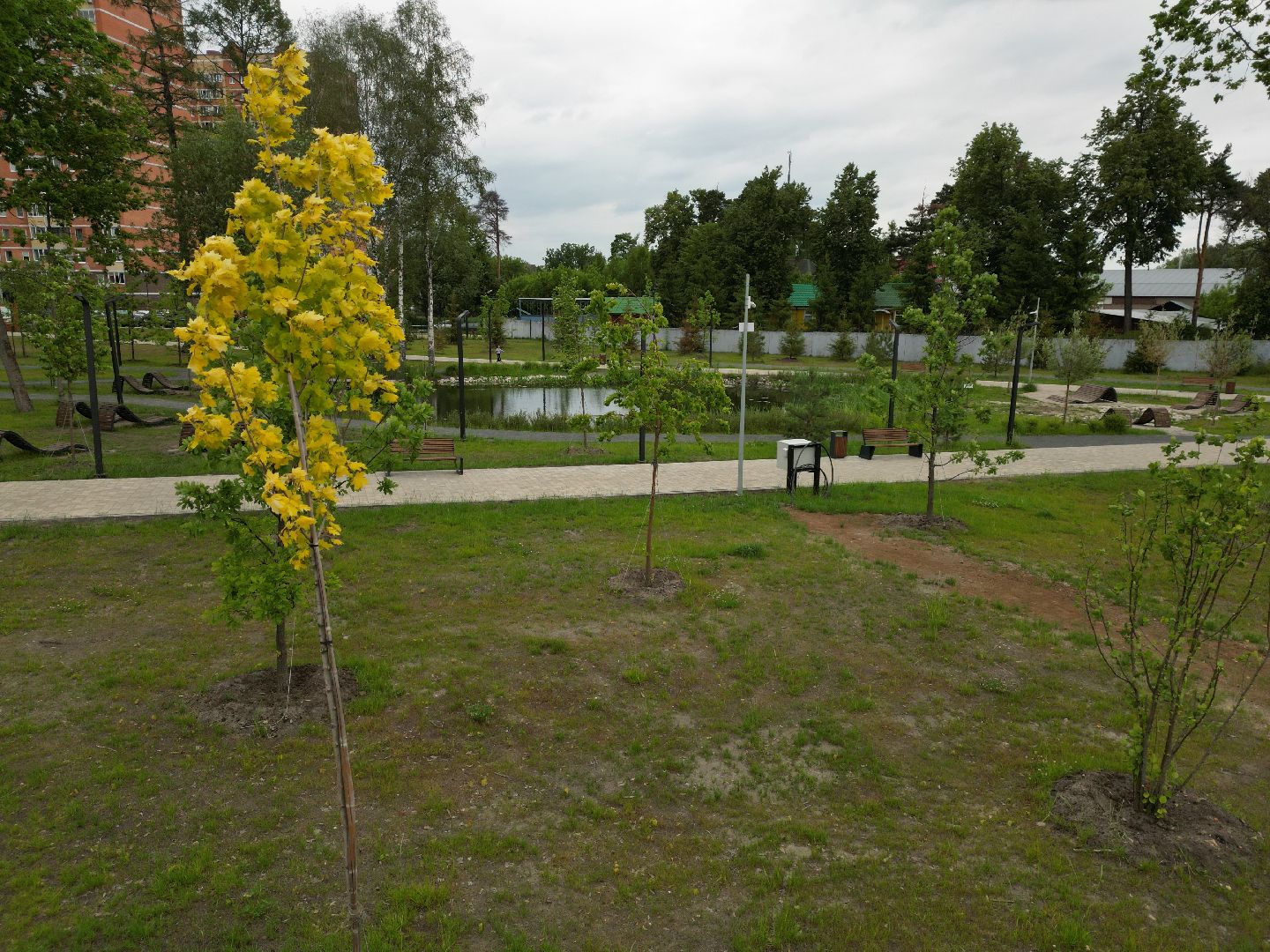 видео с коптера, парк, дубрава,