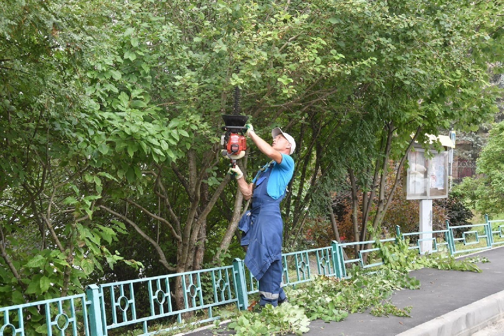 встреча с жителями власиха, микрорайон Маршала Жукова Власиха, благоустройство 2024, комплексное благоустройство, Комфортная городская среда,