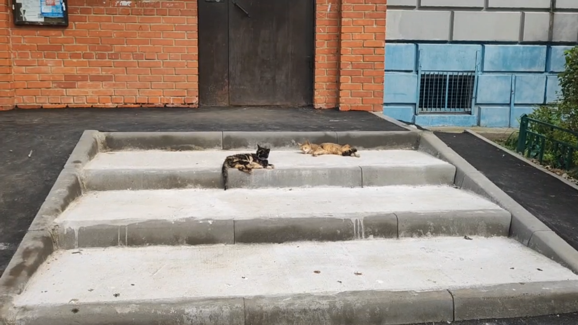 встреча с жителями власиха, микрорайон Маршала Жукова Власиха, благоустройство 2024, комплексное благоустройство, Комфортная городская среда,