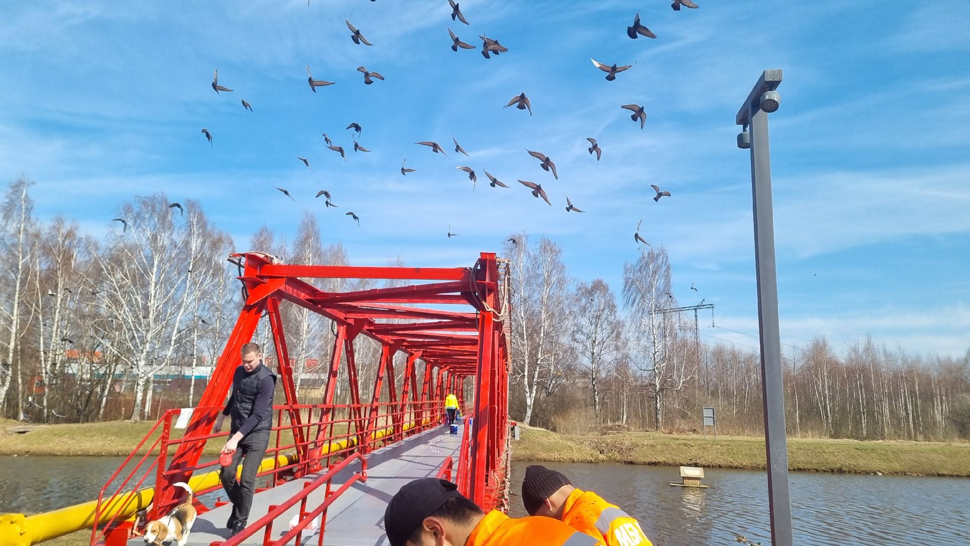 ПЯодмосковье, Иванттеевка, субботник, парки