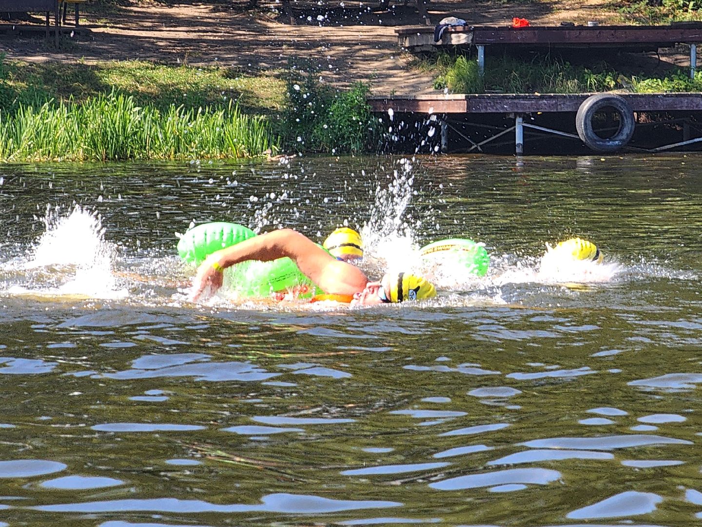 соревнования по плаванию, клязьменское водохранилище, мытищи, спорт,