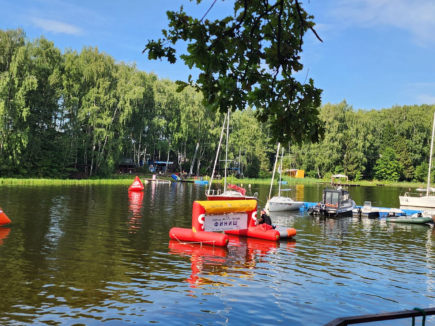 соревнования по плаванию, клязьменское водохранилище, мытищи, спорт,