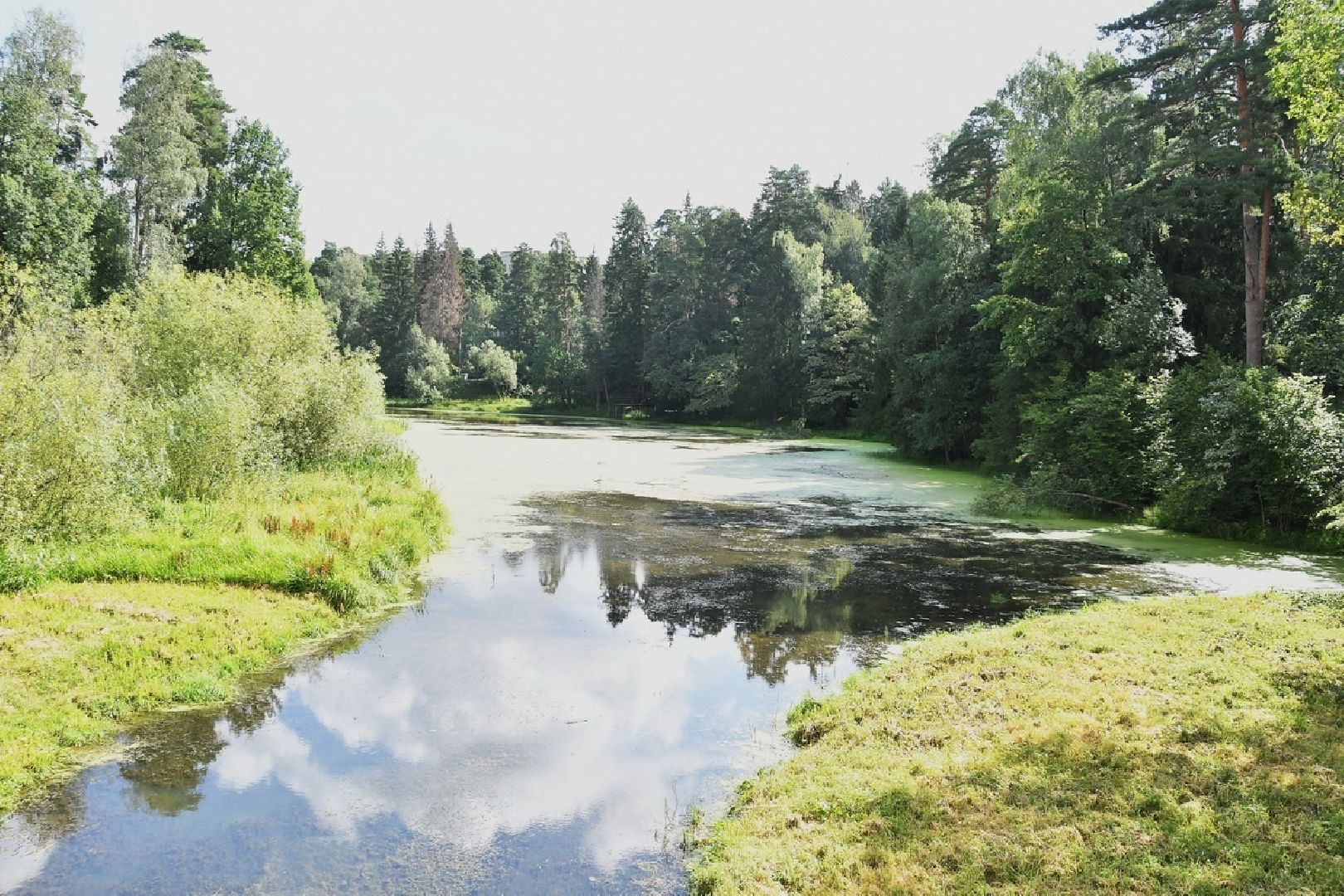 река Загза Власиха, верхнее озеро во власихе, благоустройство набережной, очистка озера во Власихе, обращения жителей,