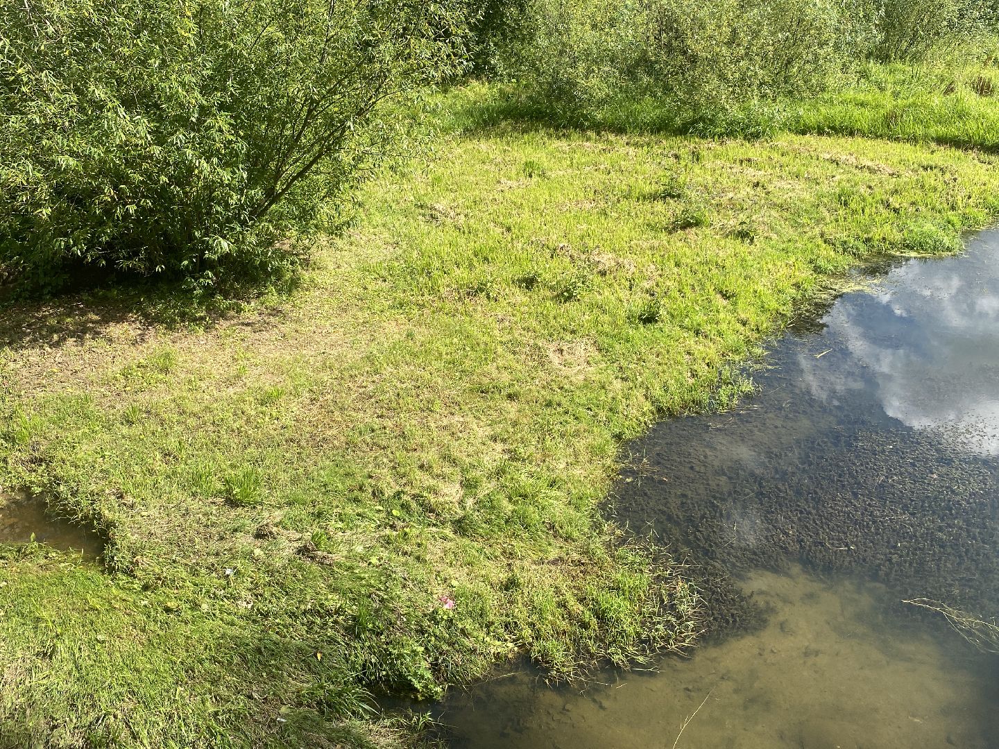 река Загза Власиха, верхнее озеро во власихе, благоустройство набережной, очистка озера во Власихе, обращения жителей,