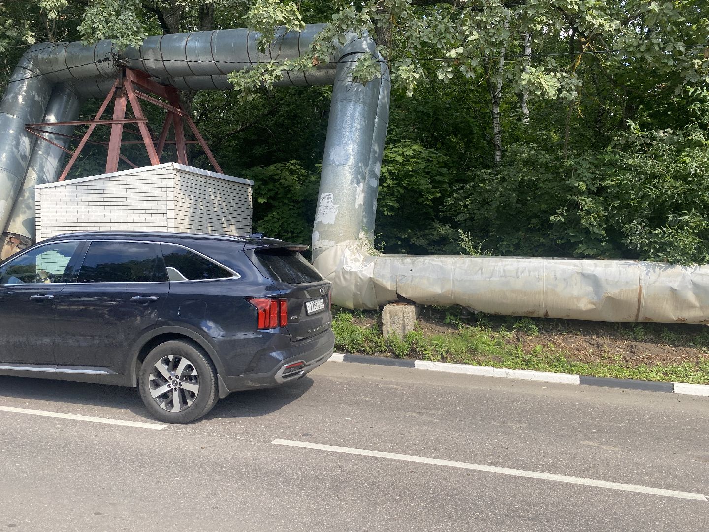 река Загза Власиха, верхнее озеро во власихе, благоустройство набережной, очистка озера во Власихе, обращения жителей,