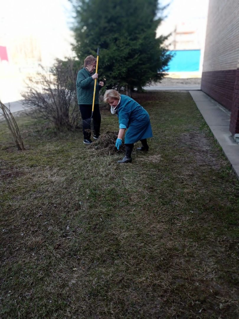Чехов, благоустройство, жители, территория, уборка