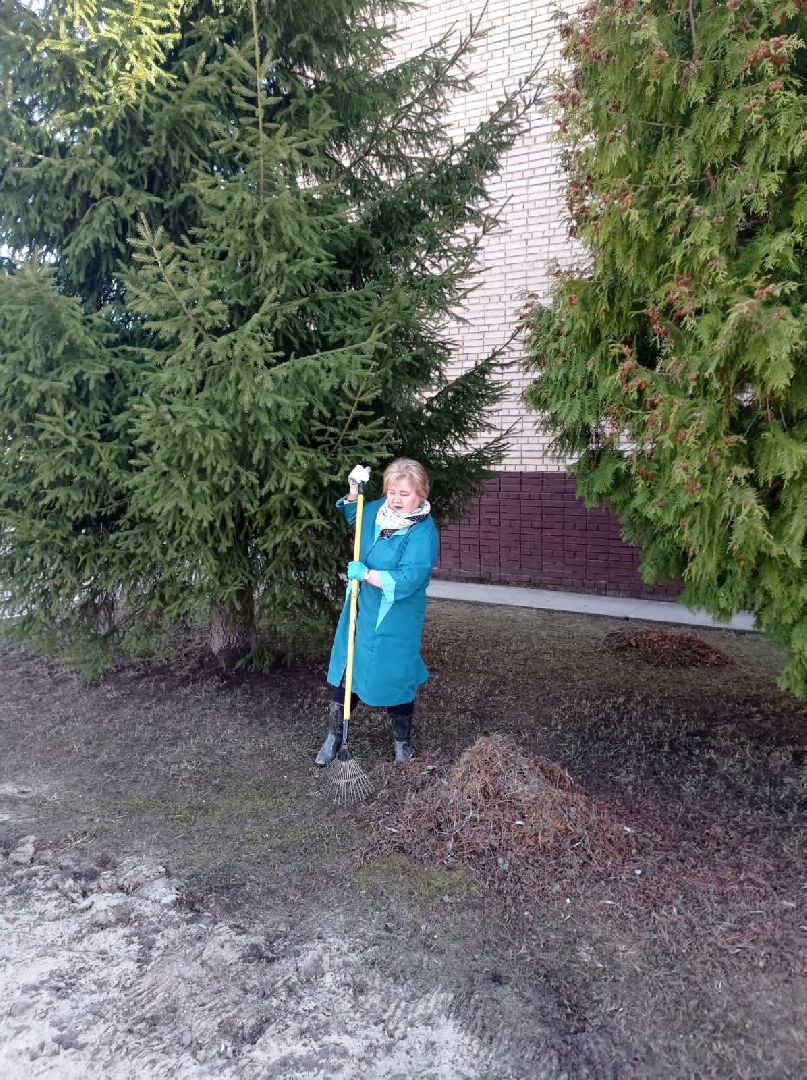 Чехов, благоустройство, жители, территория, уборка