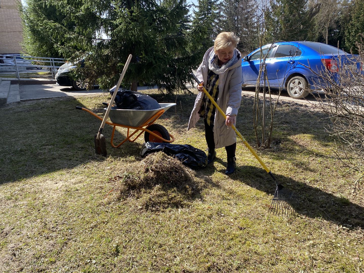 Чехов, благоустройство, жители, территория, уборка
