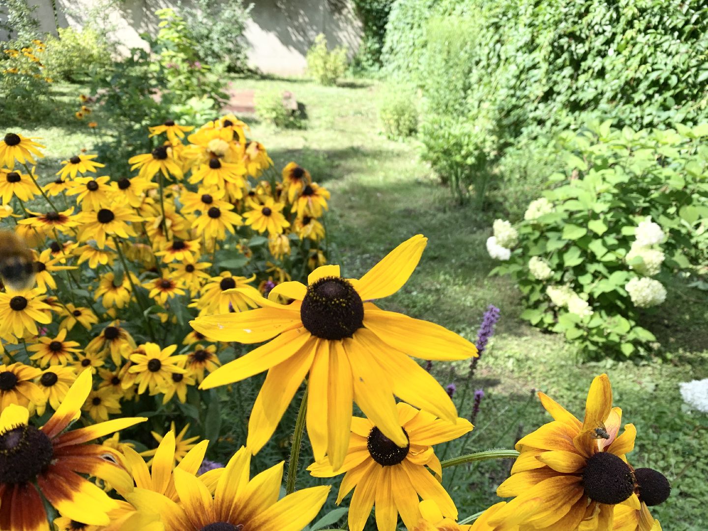 Балашиха, Подмосковье, Мой дом-моя гордость, Конкурсы по благоустройству, Благоустройство дворов, Дворовая территория,