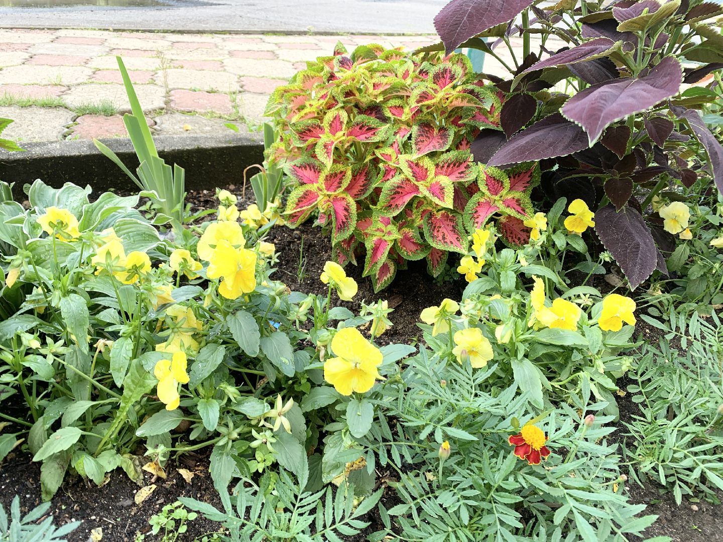 Балашиха, Подмосковье, Мой дом-моя гордость, Конкурсы по благоустройству, Благоустройство дворов, Дворовая территория,