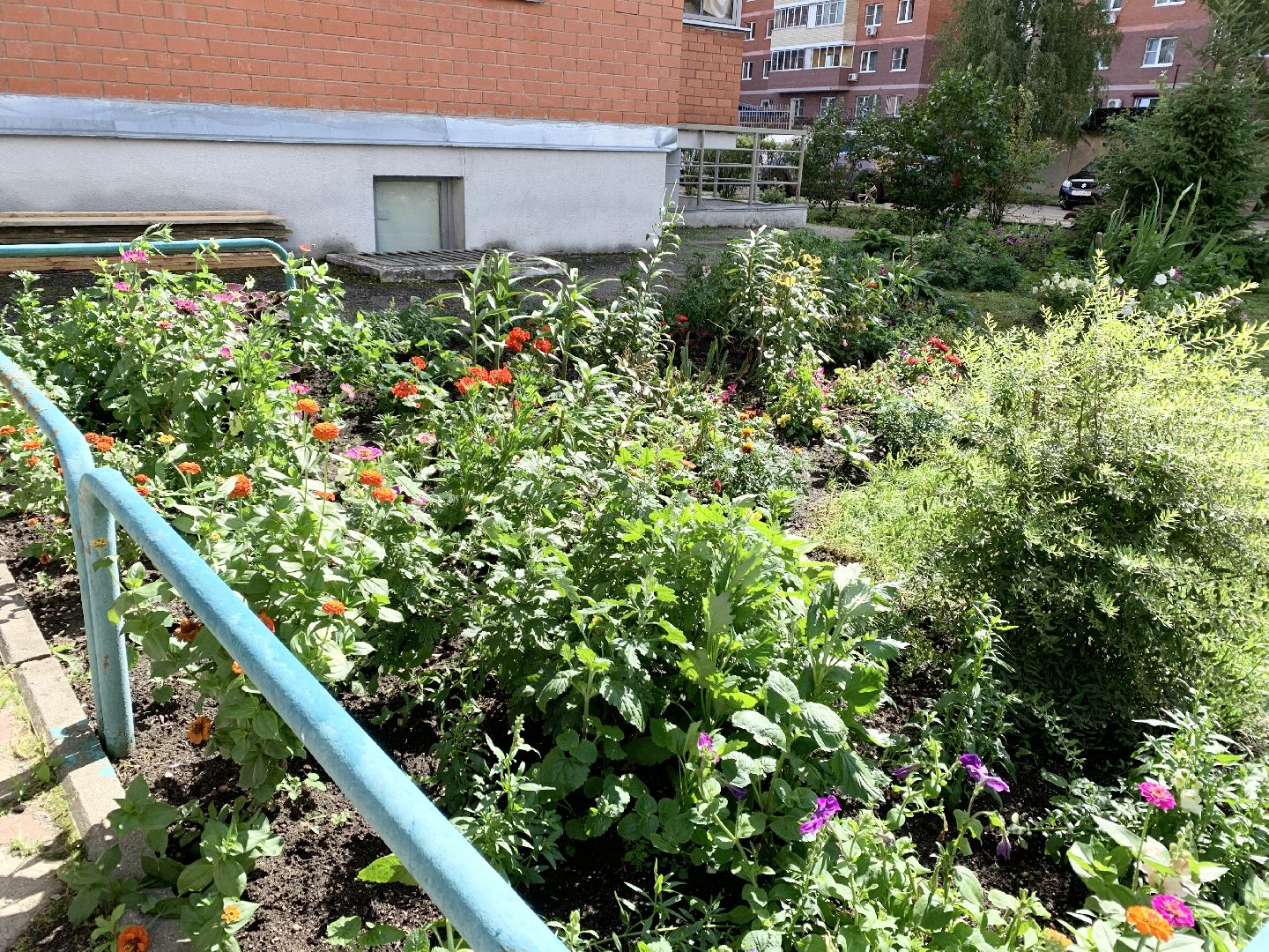 Балашиха, Подмосковье, Мой дом-моя гордость, Конкурсы по благоустройству, Благоустройство дворов, Дворовая территория,