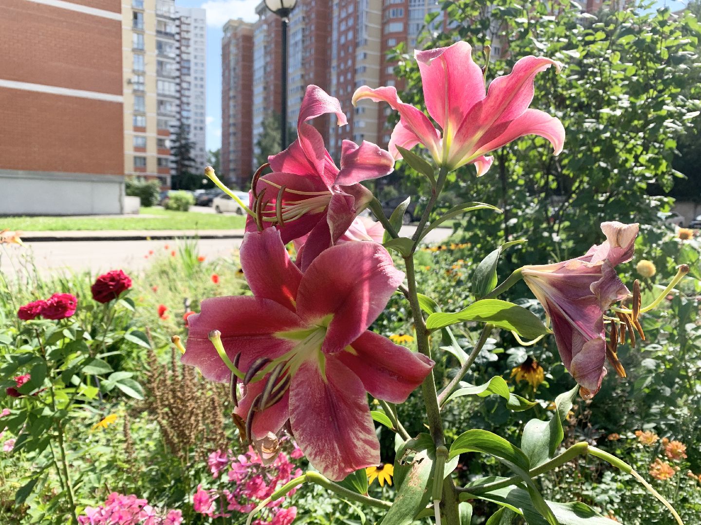 Балашиха, Подмосковье, Мой дом-моя гордость, Конкурсы по благоустройству, Благоустройство дворов, Дворовая территория,