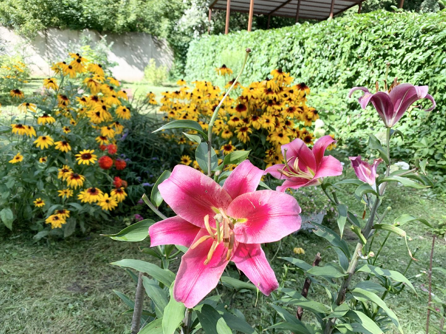 Балашиха, Подмосковье, Мой дом-моя гордость, Конкурсы по благоустройству, Благоустройство дворов, Дворовая территория,