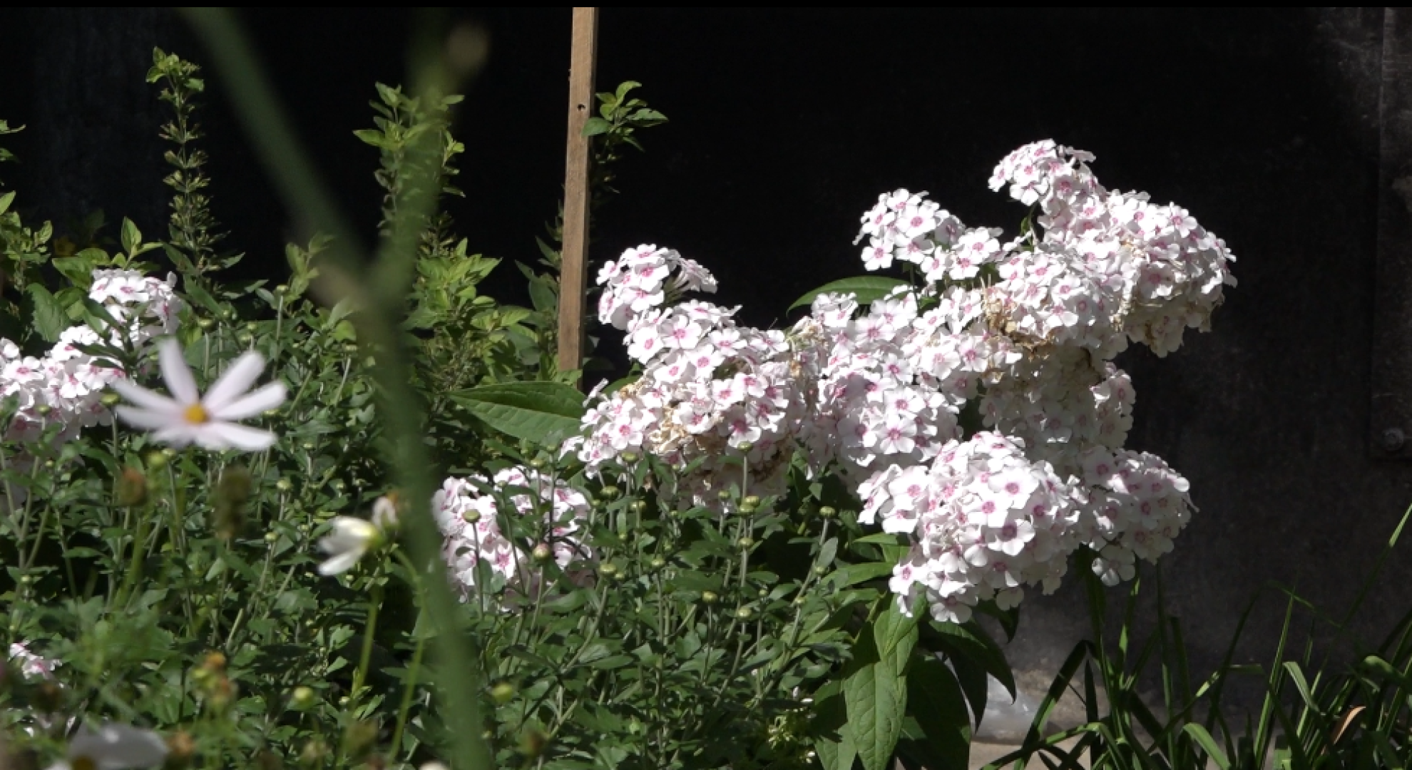 Мой двор - моя гордость, Конкурс среди жителей, общественная палата, Домодедово,