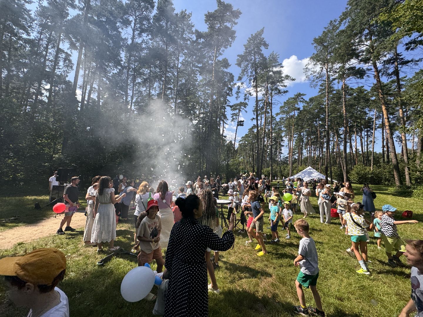 парк Раздолье, парки подмосковья, Одинцово, Туризм,