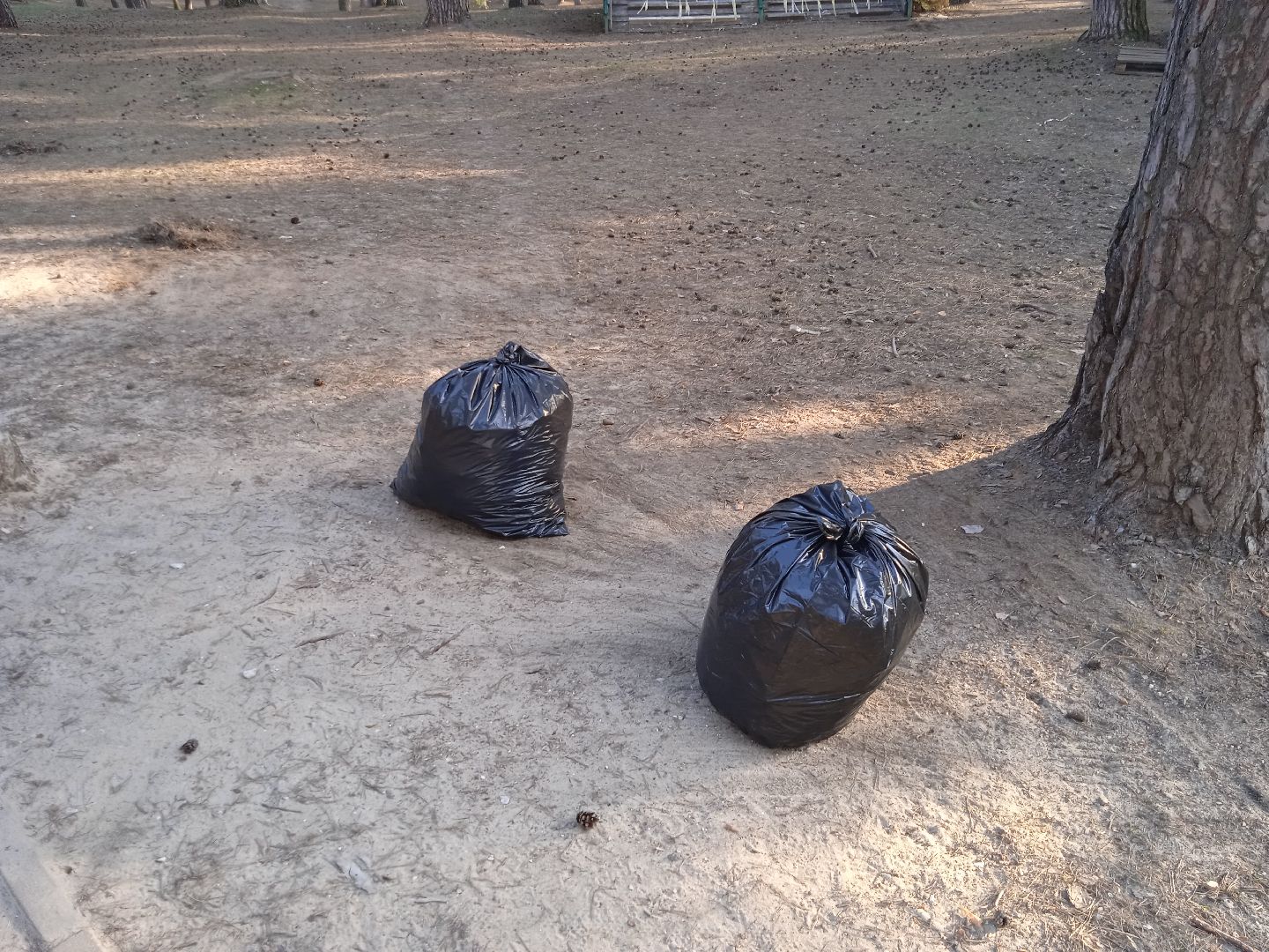 субботник, первый, парк, вечный, огонь, сквер, уборка