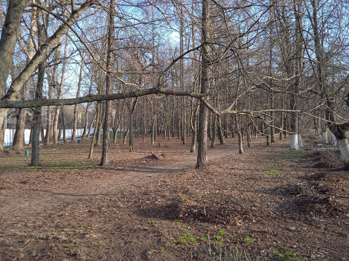 субботник, первый, парк, вечный, огонь, сквер, уборка