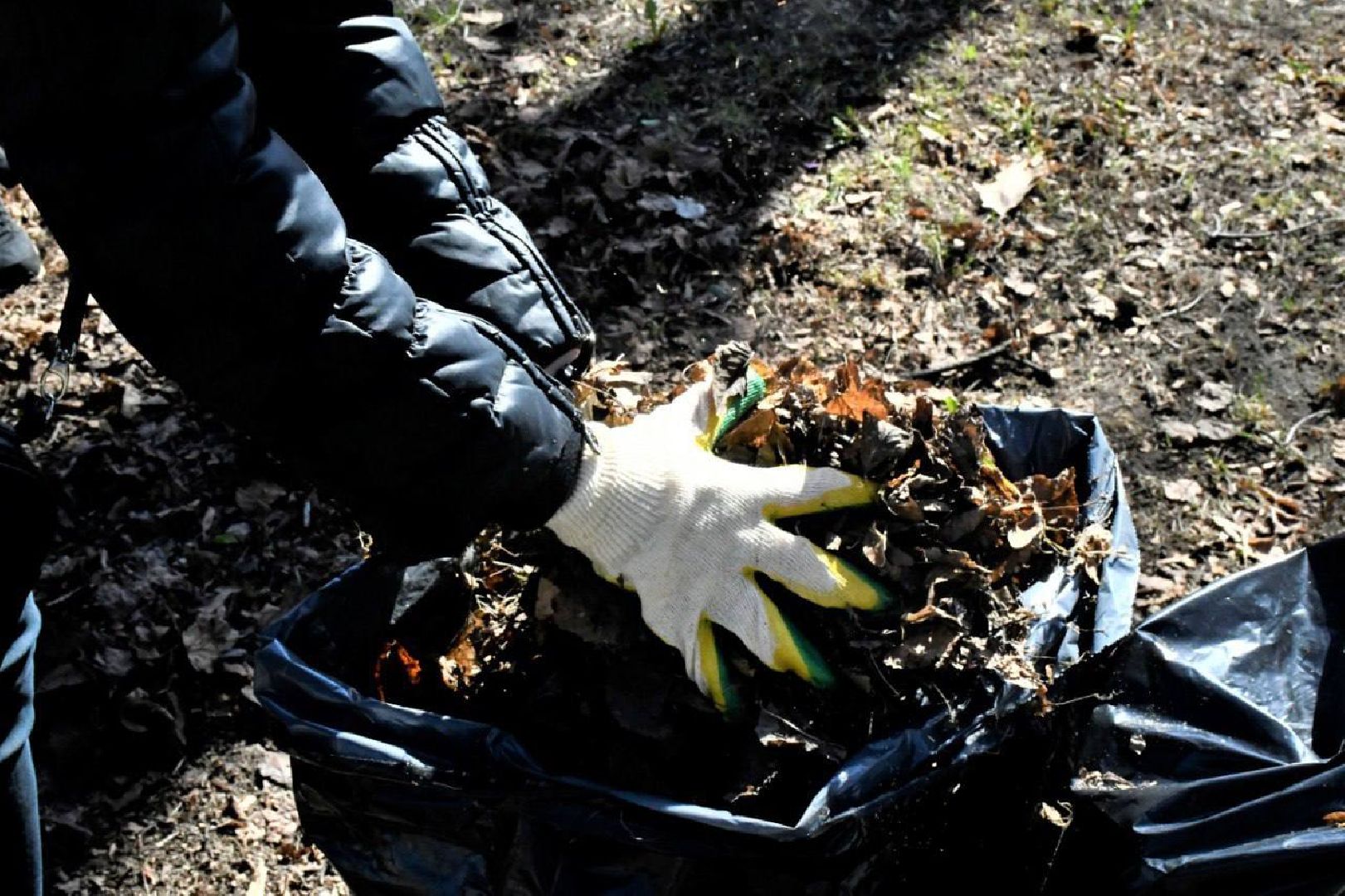 субботник, первый, парк, вечный, огонь, сквер, уборка