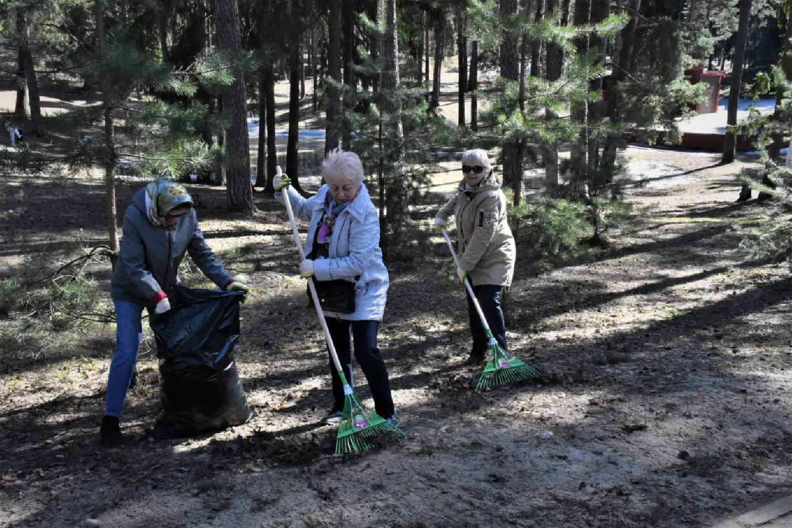 субботник, первый, парк, вечный, огонь, сквер, уборка