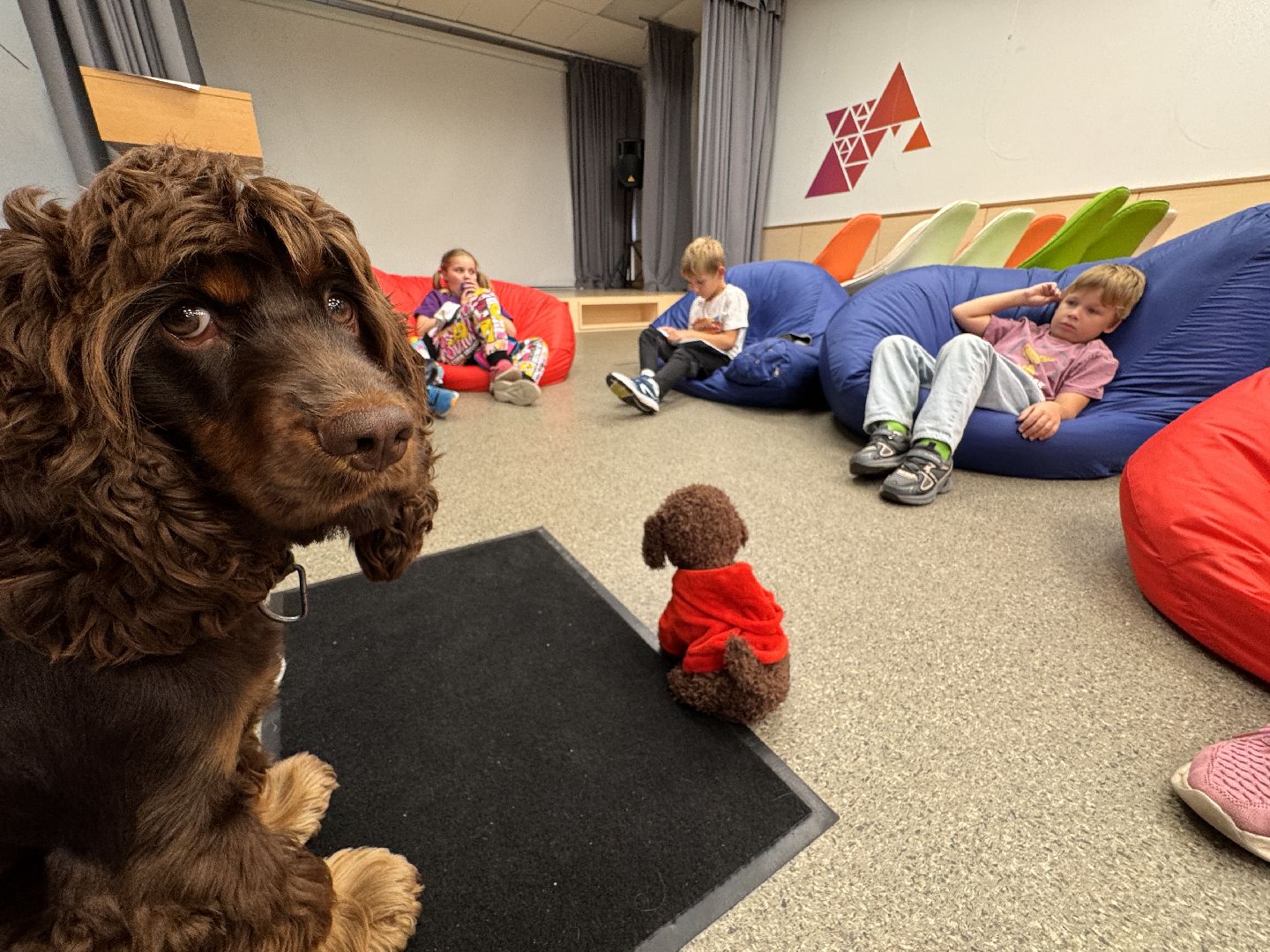 Пушистый вторник, Чтение собаке, Одинцово, Библиотека,