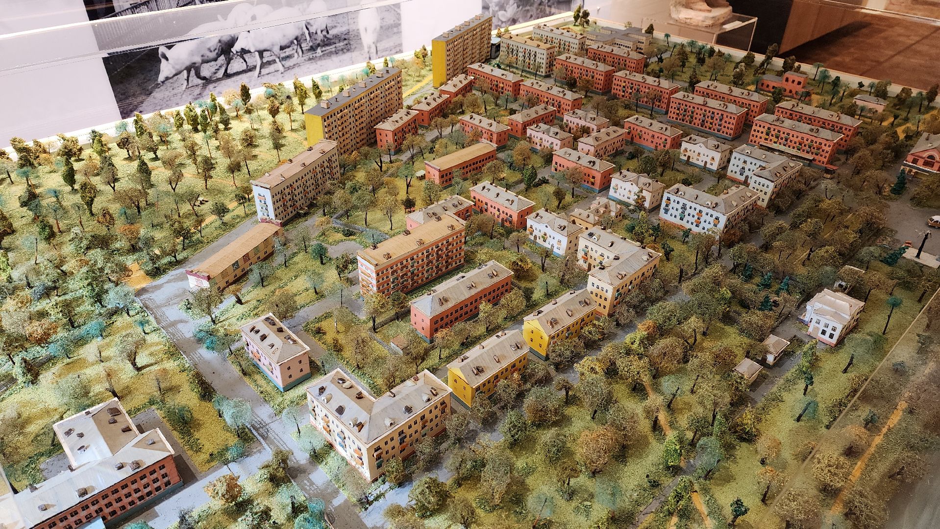 усадьба Белая Дача, музейный комплекс, активное долголетие,