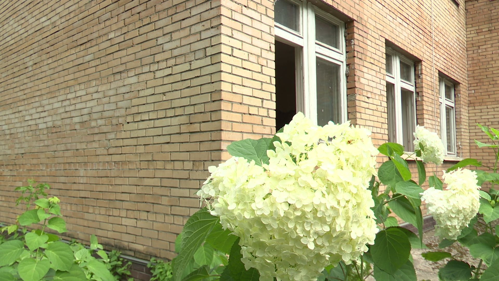 Реутов, Родничок, ремонт, дети, здоровье,переезд, фасад, пол, стены, изумрудный город,