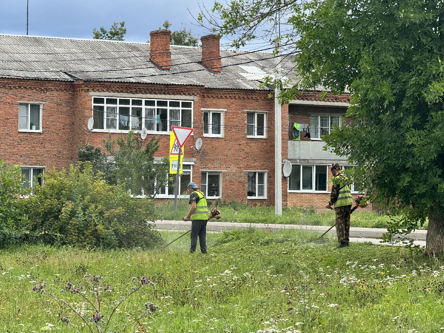 шаховская, покос травы, окашивание, коммунальная служба,