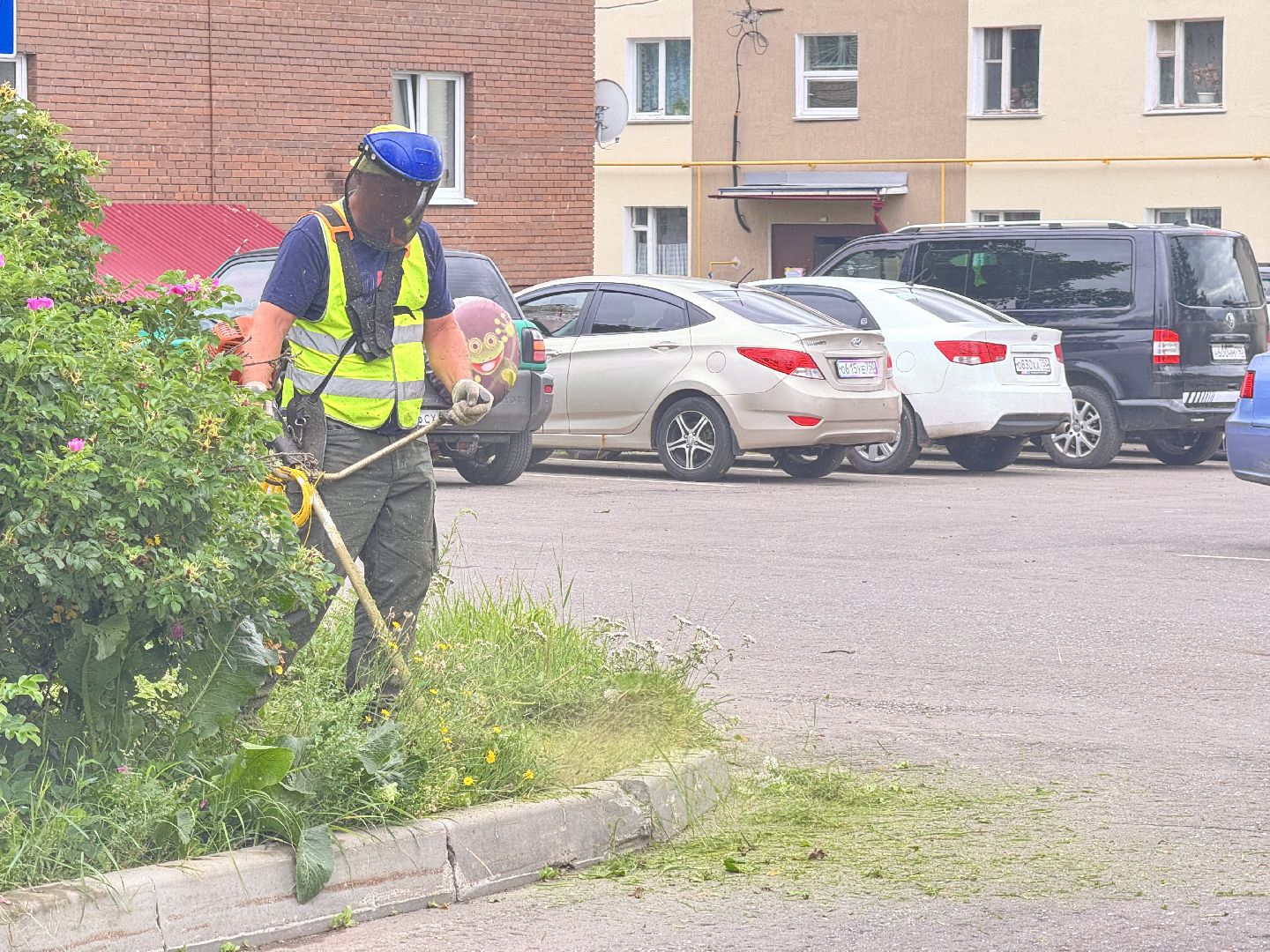 шаховская, покос травы, окашивание, коммунальная служба,