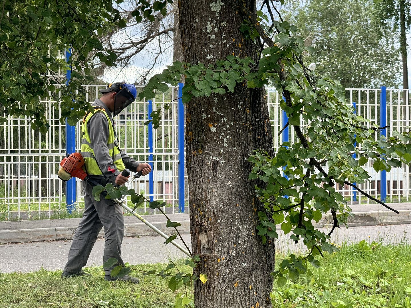 шаховская, покос травы, окашивание, коммунальная служба,