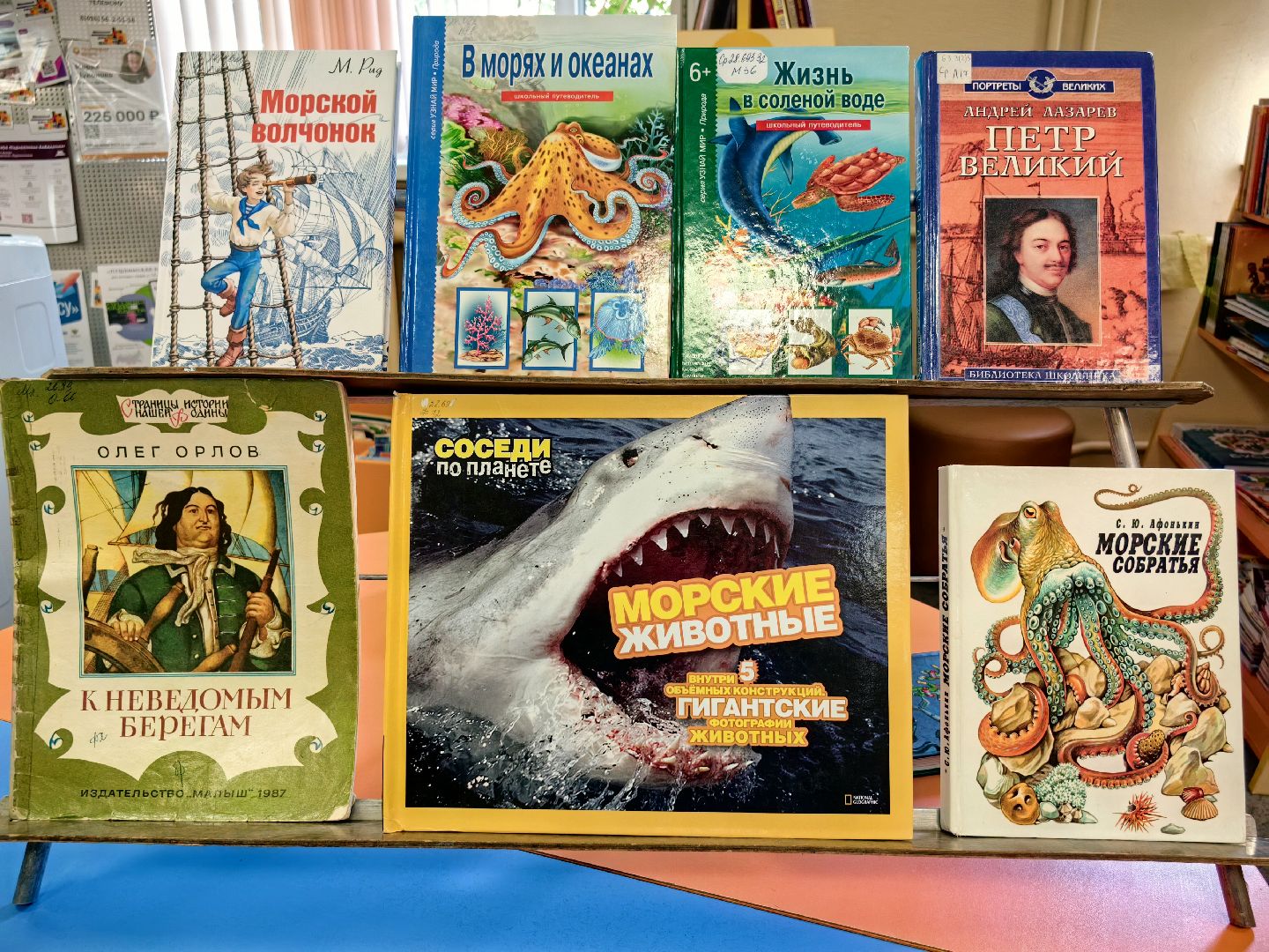 день ВМФ, флот, корабли, история, книги, библиотека, щёлково,