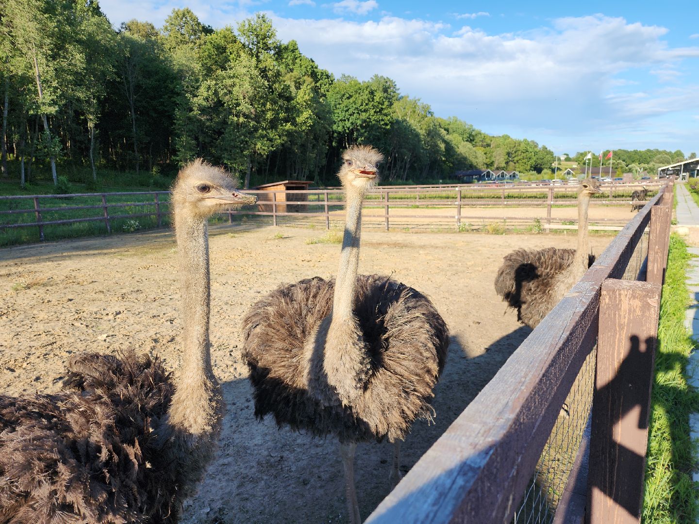 серпухов, подмосковье, экотуризм, бунин ручей,