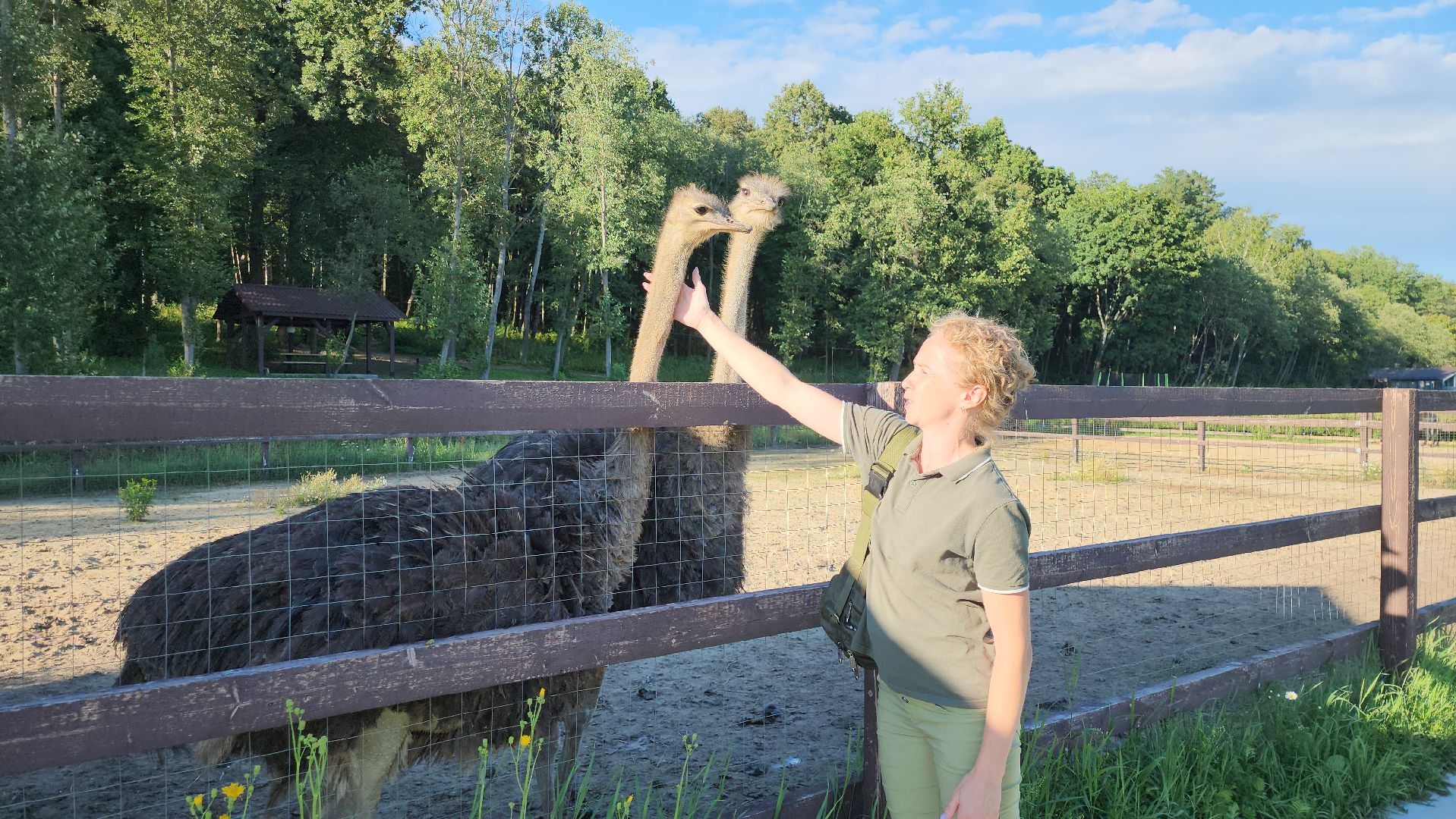 серпухов, подмосковье, экотуризм, бунин ручей,