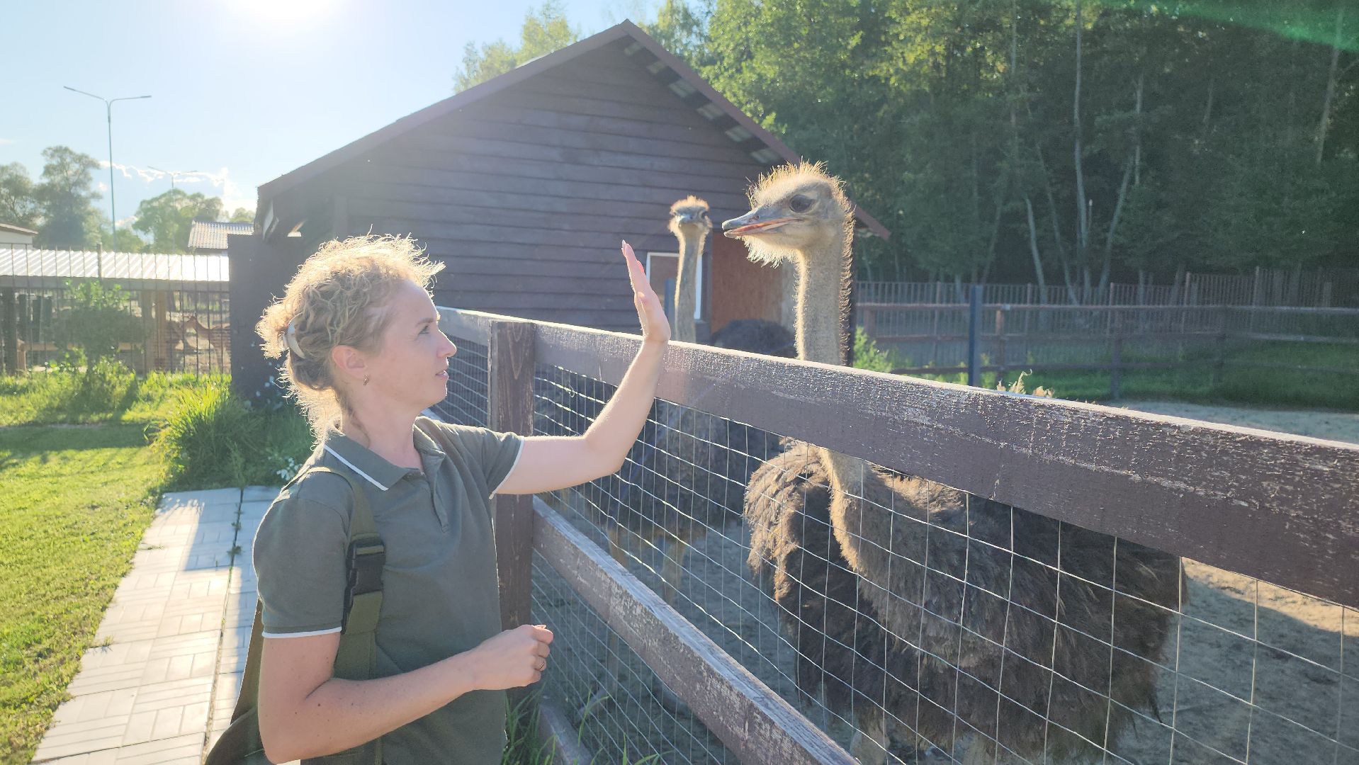 серпухов, подмосковье, экотуризм, бунин ручей,