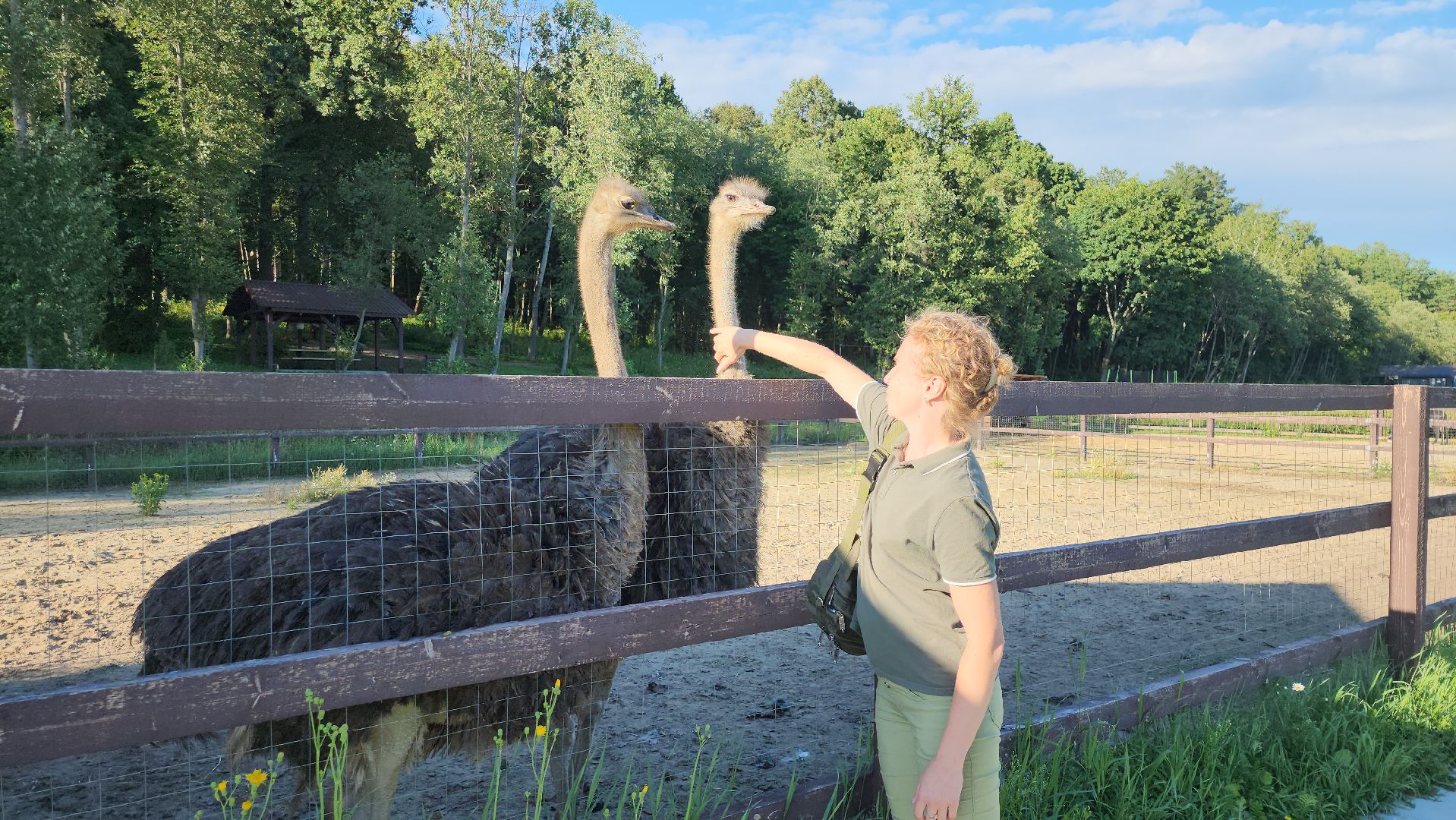 серпухов, подмосковье, экотуризм, бунин ручей,