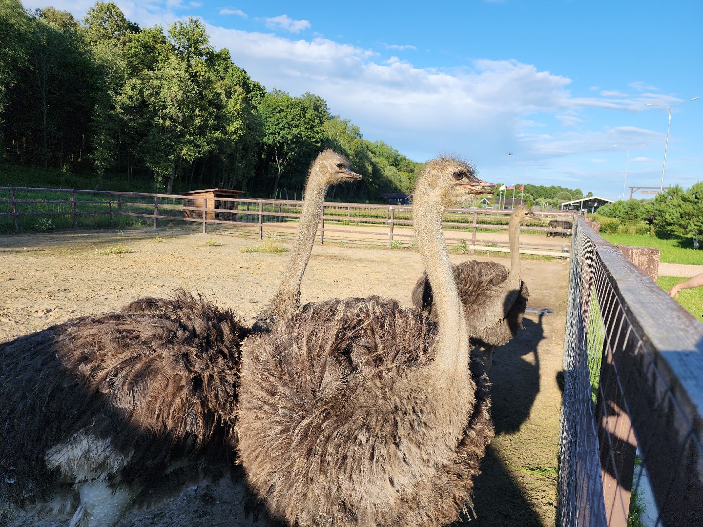 серпухов, подмосковье, экотуризм, бунин ручей,