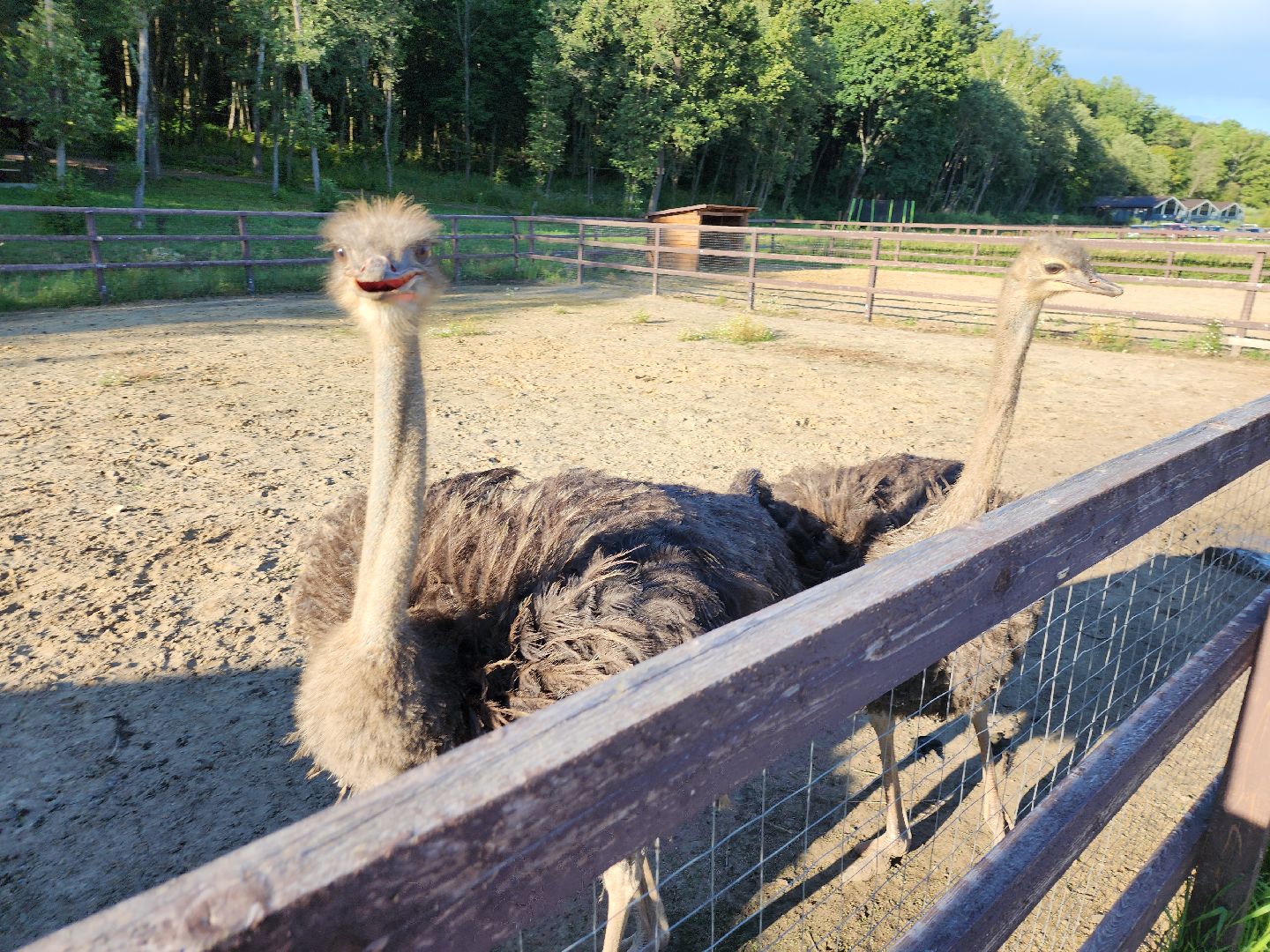 серпухов, подмосковье, экотуризм, бунин ручей,