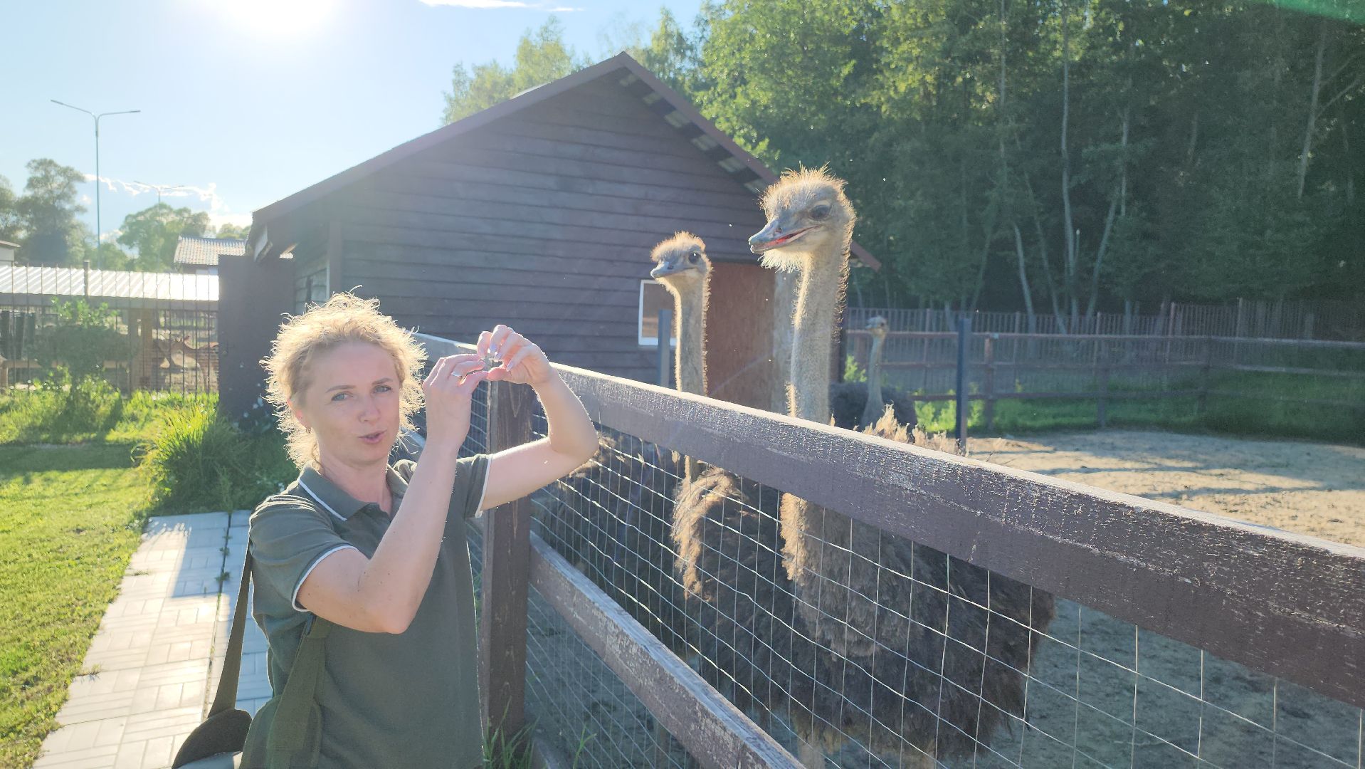 серпухов, подмосковье, экотуризм, бунин ручей,