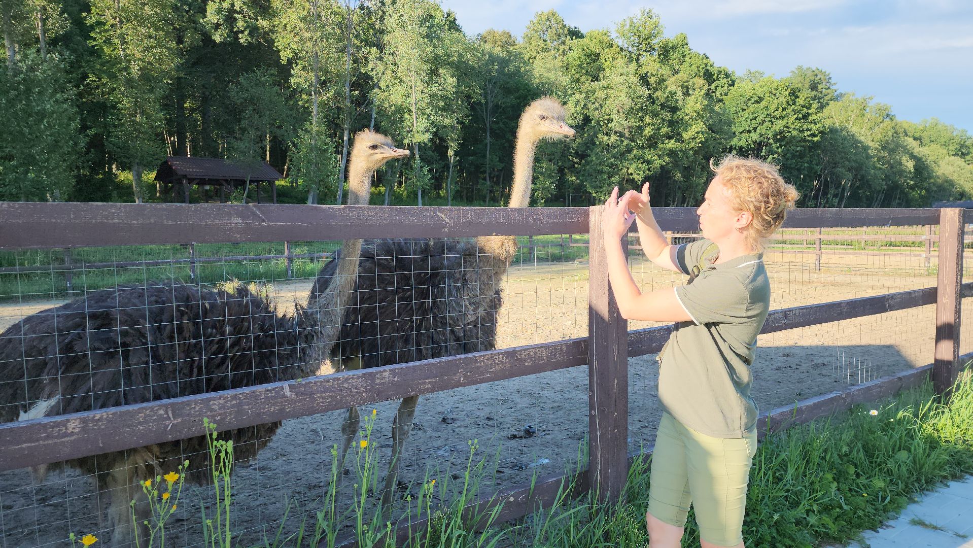серпухов, подмосковье, экотуризм, бунин ручей,