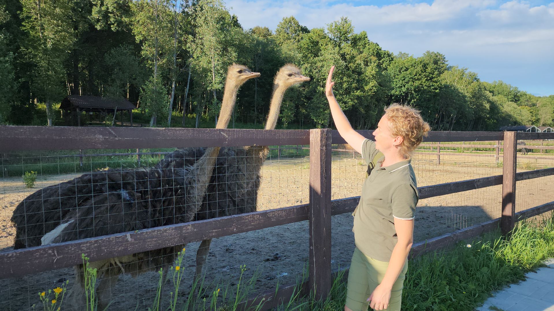 серпухов, подмосковье, экотуризм, бунин ручей,